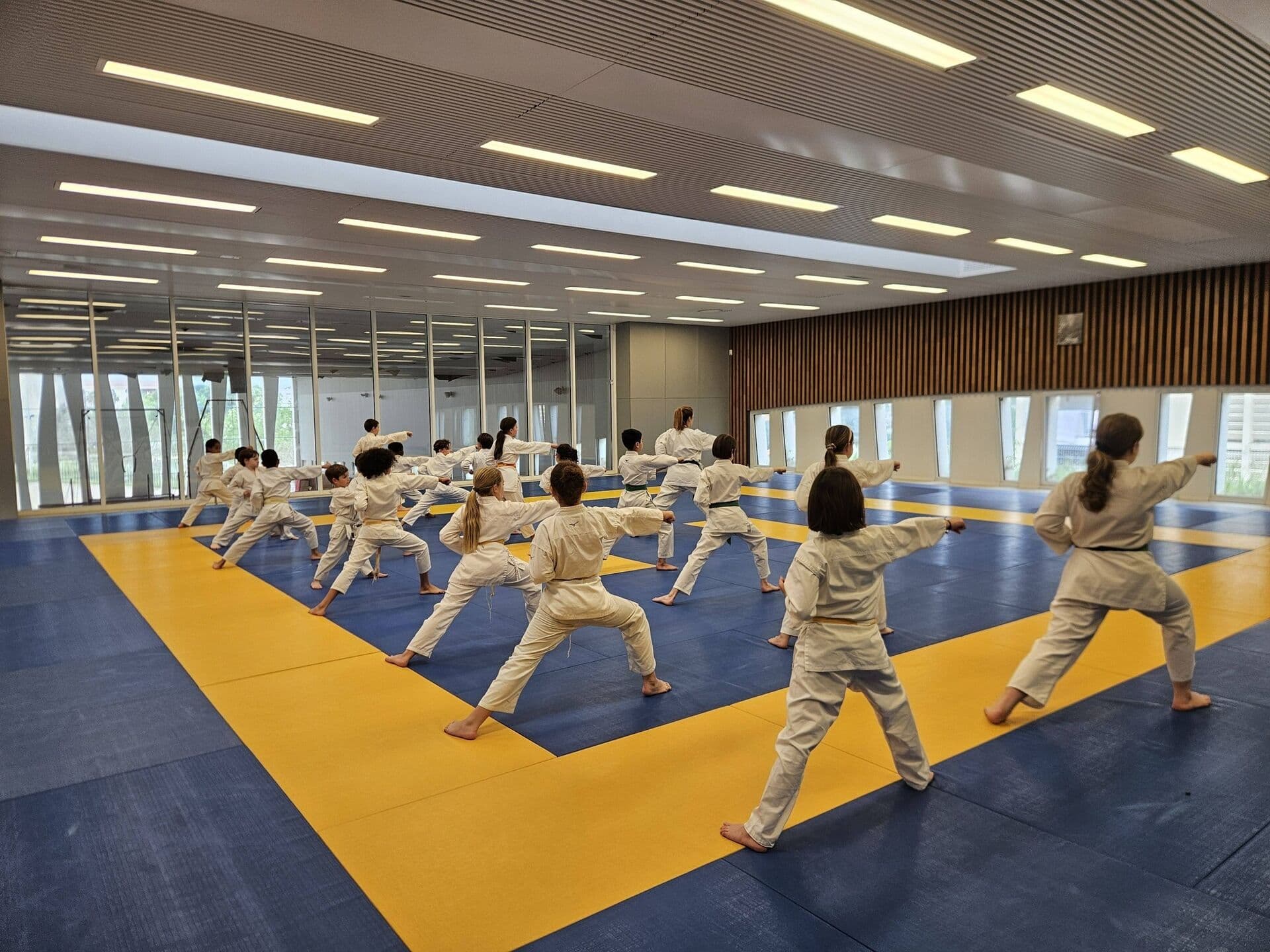 Entraînement au dojo
